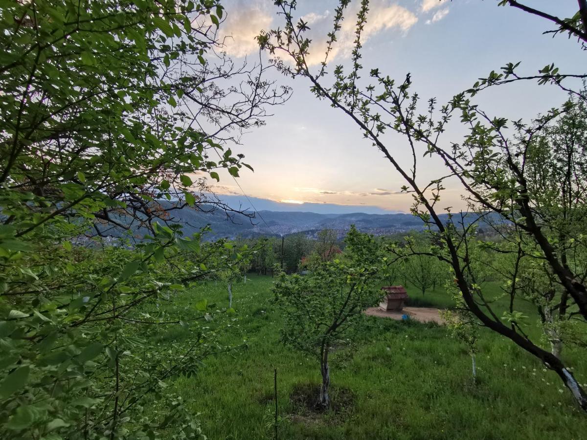 Chalet Belino Sokace Užice Eksteriør billede